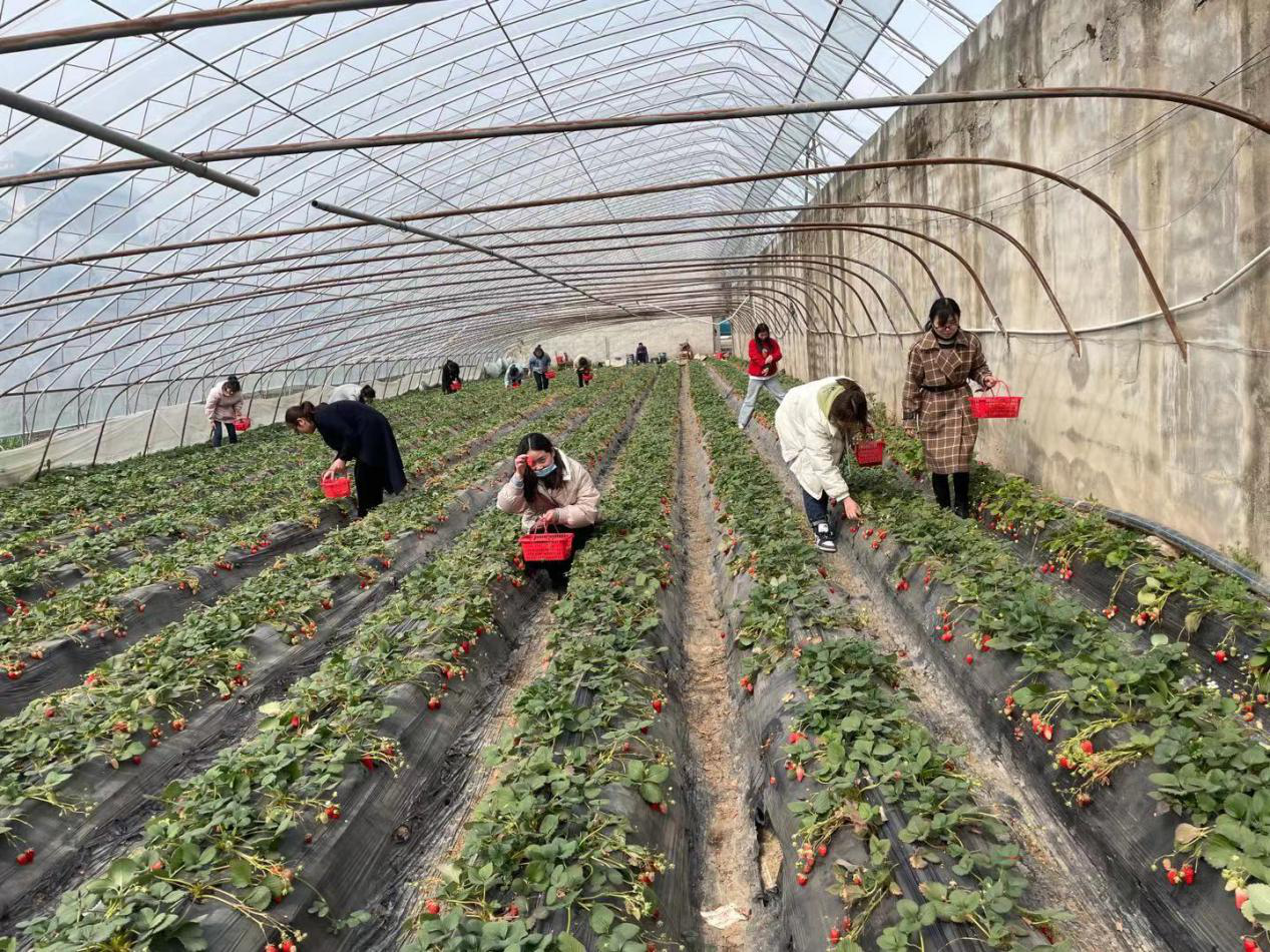 婦女節(jié).png 婦女節(jié).png